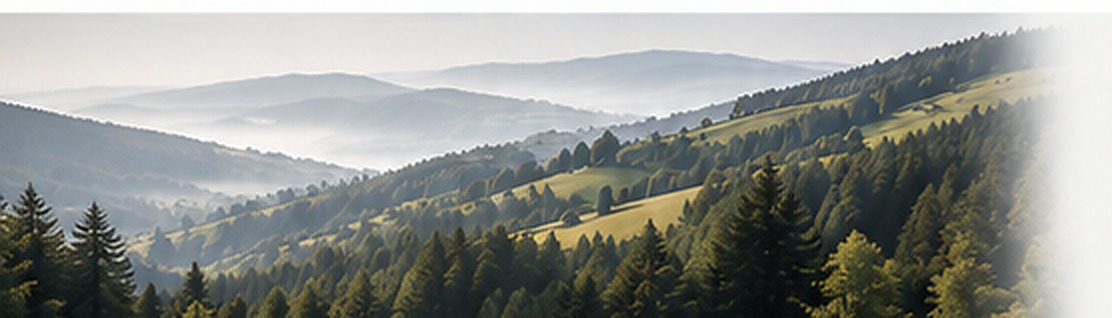 Schwarzwald